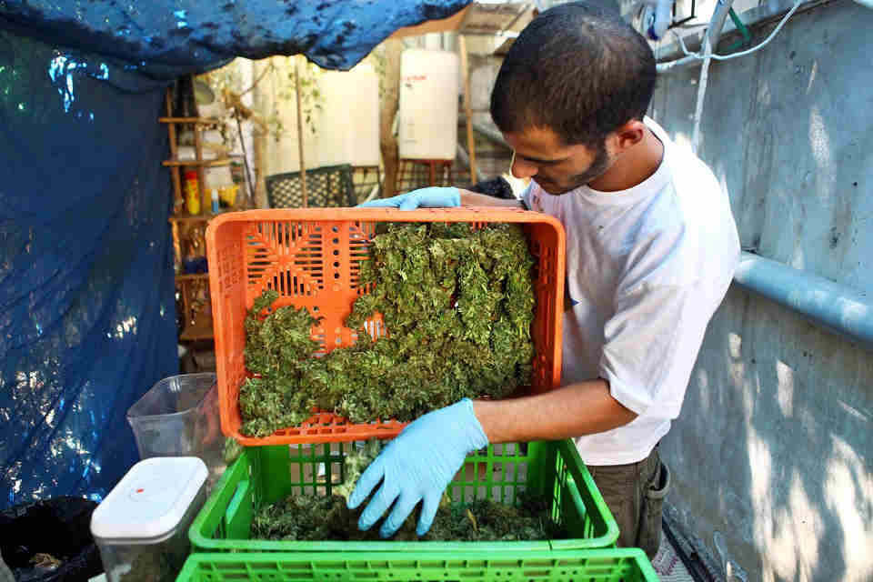 Κατατέθηκε προσωρινή εντολή κλεισίματος στο αγρόκτημα της Tikun-Olam 1